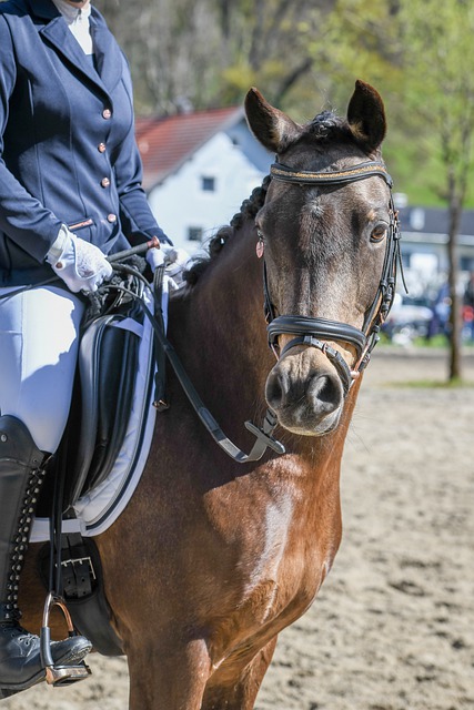 理的可能性 理的可能性