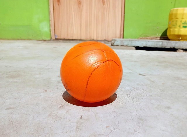 重身体的恢 重身体的恢