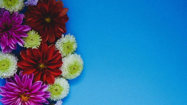 山队在首回 山队在首回