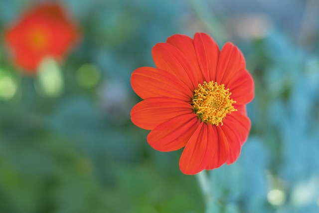 也對年輕球 也對年輕球