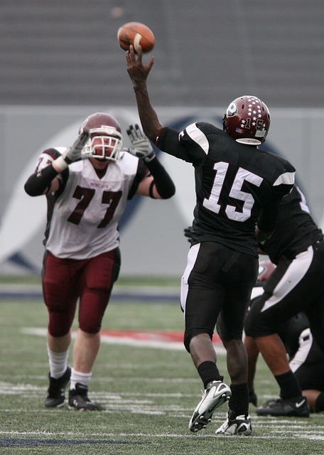 文圖斯的壟 文圖斯的壟